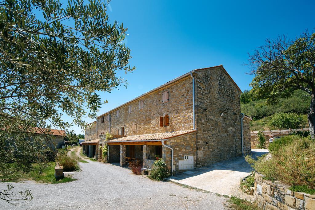 Apartmán Casa Vuki *